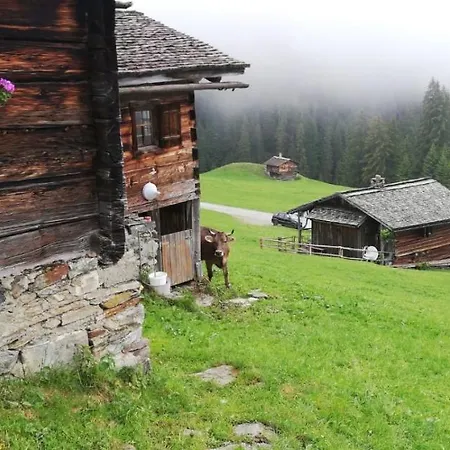 Plattei Apartment Sankt Gallenkirch